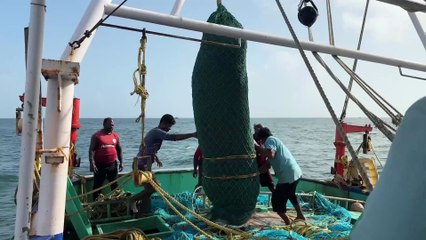 Gulf Deep Sea Giants — Unveiling the Most Powerful Catch of the Day