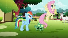 My Little Pony - Sezon 2 Odcinek 07 - Konkurs pupili