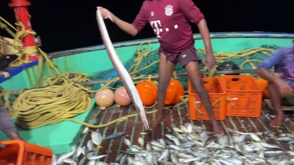 Gulf Waters Challenge — Catching the Most Elusive Fish of the Day