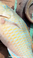 Gulf Storm Catch — Fighting a Wild Ocean Beast in Deep Waters