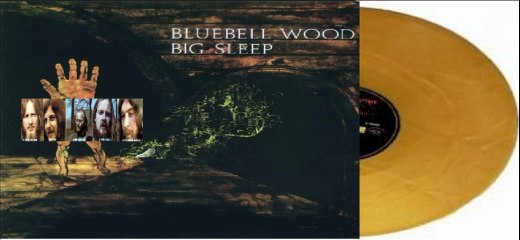 Big Sleep — Bluebell Wood 1971 (UK, Progressive, Folk Rock)