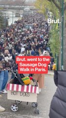 Brut. went to the Sausage Dog Walk in Paris with an American in Paris.