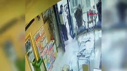 Böcek ailesinin ölümü: Yeni görüntüler ortaya çıktı