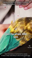 Daddy's Little Healer - Drama FULL MOVIES ENGLISH SUB