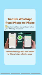 Transfer WhatsApp from iPhone to iPhone in Minutes! ⚡