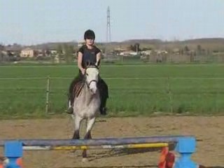 L'equitation et moi
