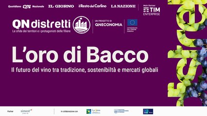 QN Distretti - L'oro di Bacco | Il futuro del vino