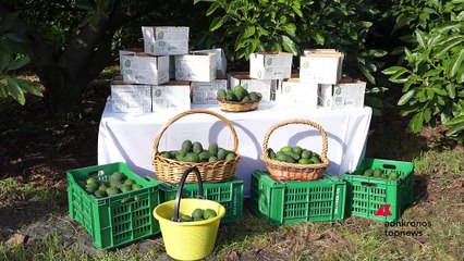 Agricoltura, Candelori (Lidl Italia): "Privilegiamo i prodotti italiani"