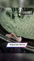 Cheeky Stingray Fires Back! Unexpected Spit Attack Caught on Cam|| Heartsome 💖