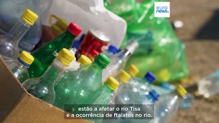 Operação de limpeza do rio Tisza: em que consistem os resíduos?
