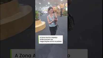 Veja as imagens do incêndio que atingiu a Zona Azul da COP30, em Belém