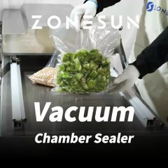 INTRODUCING ZONESUN ZS-DZ600A Double Chamber Vacuum Sealing Machine Food Vacuum Packer