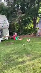 The animals🤣😂 _funnyanimals _animalsfunny _pets _shorts