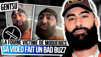 LA FOUINE SE FAIT DÉTRUIRE après cette vidéo 😱