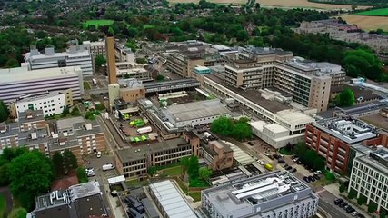 Cancer Detectives: Finding the Cures - Season 1 Episode 2