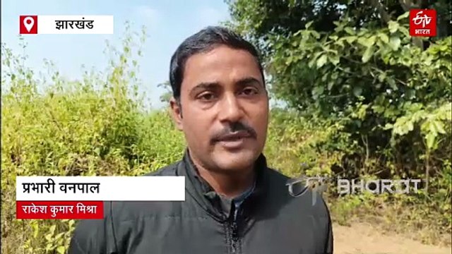 गुमला में 18 जंगली हाथियों की दस्तक, दहशत में ग्रामीण, फसलों को नुकसान की आशंका