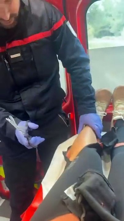 «Ce n’est pas beau et c’est très profond» : Ariane Brodier attaquée par trois chiens