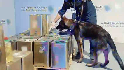 في عملية أمنية دقيقة.. "زاتكا" تضبط الكمية داخل إرسالية "زيت زيتون"