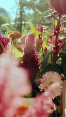 إطلالاتكِ بلمسة إيطالية راقية مع أحذية وحقائب Hogan