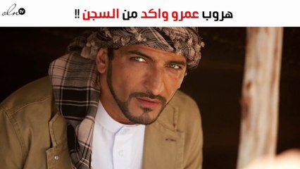 إيقاف تنفيذ حبس عمرو واكد لهذه الأسباب