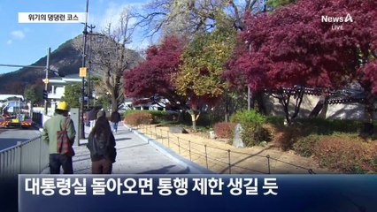 청와대 복귀에…애타는 ‘댕댕런’ 러너들