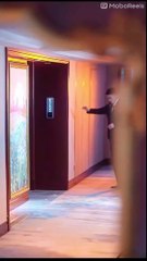 Remarrying the CEO Full Movie Eng Sub Chinese Drama