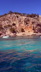 LES PAYSAGES TYPIQUES de la Méditerannée