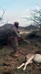 بالفيديو ذبح غزالة حامل بإحدى المحميات الطبيعية بالمملكة