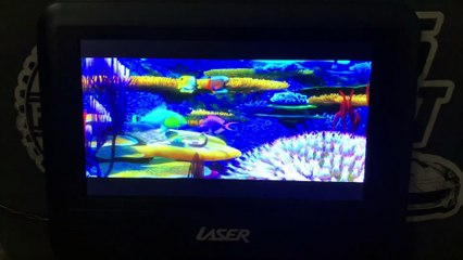 Finding Nemo (2003) Opening Scene