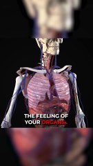 I Investigated the Most Disturbing Facts About Human Bodies.. 😭