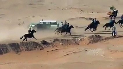 بالفيديو حادث ماساوي اصطدام عدد من الخيول وسيارة للدرك الجزائري خلال سباق للخيول
