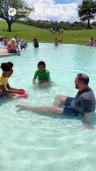 Kangaroo hopping into pool