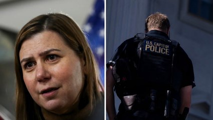 Democrat senator given 24/7 security after Trump ‘seditious behavior, punishable by death’ accusation