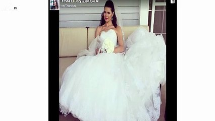 فنانة مصرية تسخر من عمرو دياب ودينا الشربيني بهذه الصورة