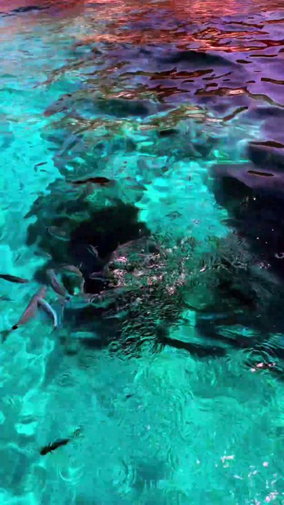 PAUSE REPAS dans un paradis à Majorque