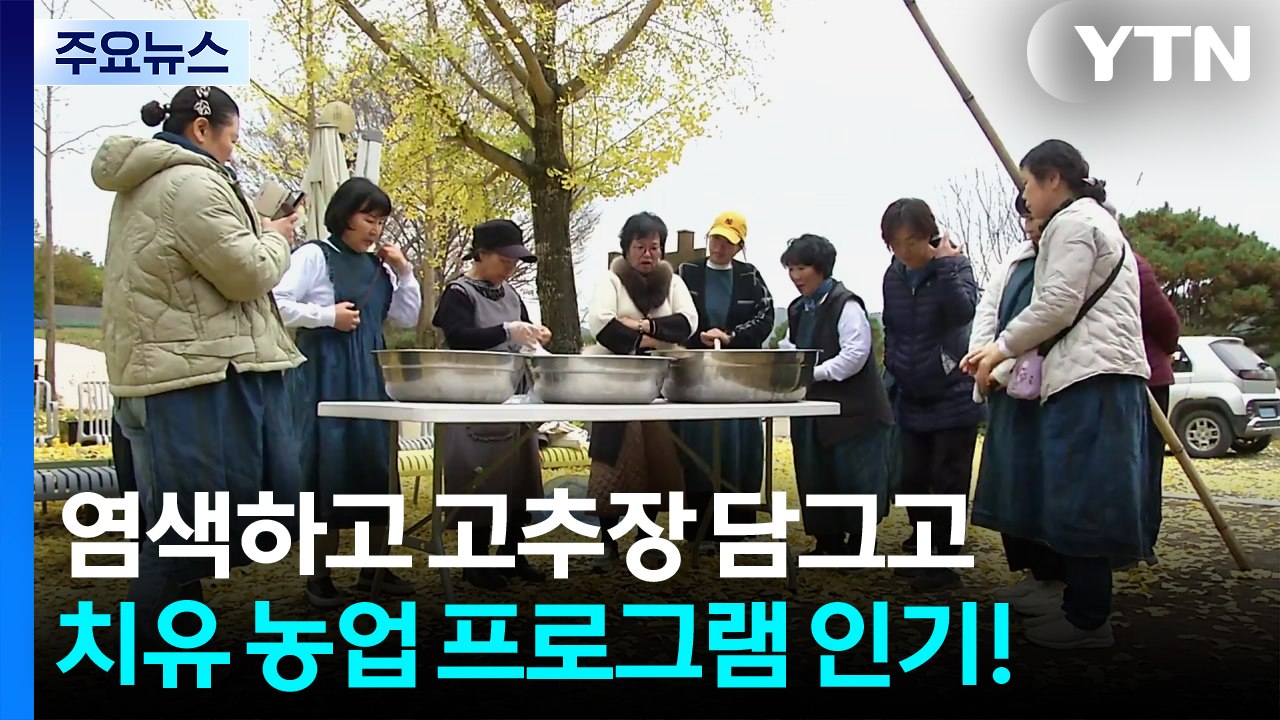 천연 염색하고 고추장 담그고...치유 농업 프로그램 인기! / YTN