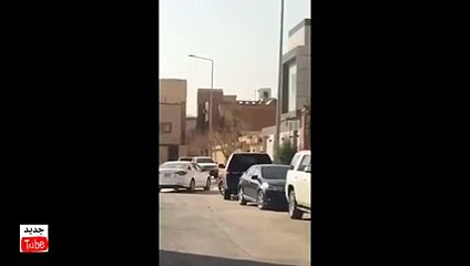 بالفيديو مواطنين يستطيعون صيد صقر شيهان من احد شوارع الرياض