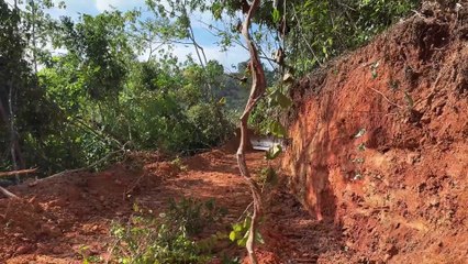 Smoother and Neater Roads with the D6R XL Bulldozer in the Mountain Plantation