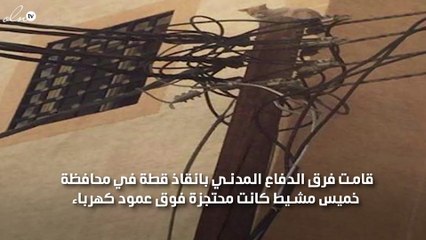 بالصور الدفاع المدني يقوم بانقاذ قطة في السعودية