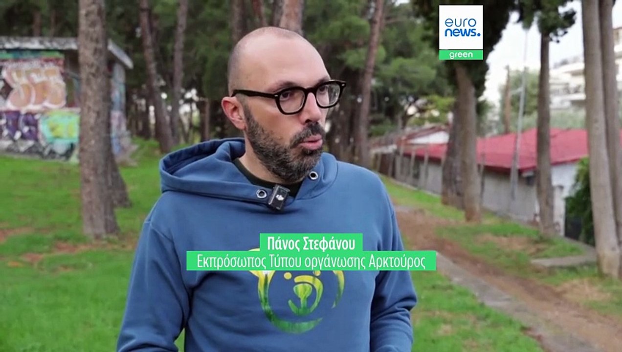 Ανησυχούν για τα άγρια ζώα και παίρνουν όπλα οι κάτοικοι στη Βόρεια Ελλάδα