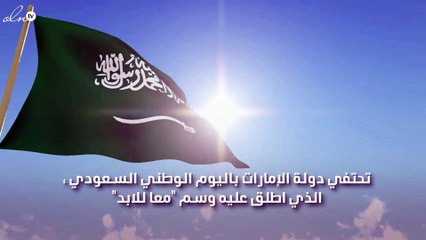 بالصور شارع الملك سلمان يتزين في دبي من اجل الاحتفال باليوم الوطني السعودي