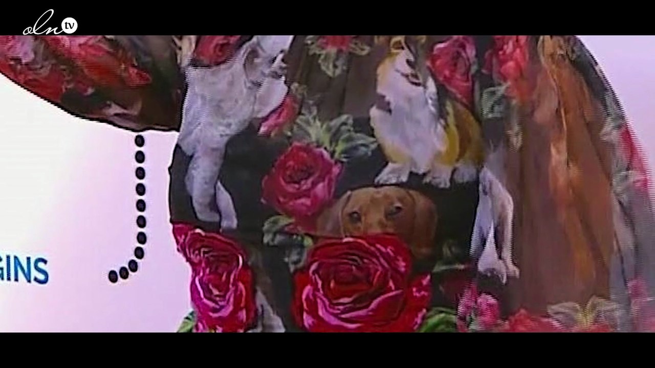 مهرجان الجونة السينمائي...اطلالات كارثية