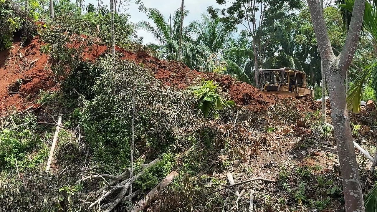 The Bulldozer D6R XL Action Splitting the Mountain Slope