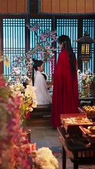 Shadows Of Betrayal Light Of Love Full Movie Eng Sub Chinese Drama