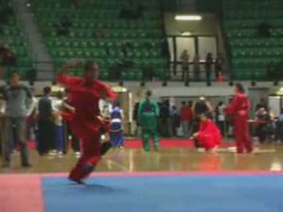 Yang Er Yue wushu trailer