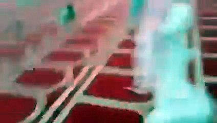 بالفيديو اقتحام كلب ضال لاحد مساجد بالسعودية