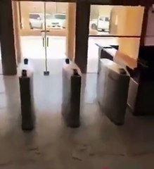 بالفيديو عمال مطعم بالسعودية يقومون بصيد اسماك من مياة الصرف الصحي