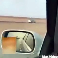 مريض نفسي يقود سيارته بشكل معاكس على طريق سريع