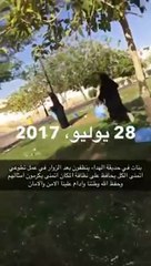 بالفيديو فتيات سعوديات يقومن بتنظيف احدى الحدائق العامة بالرياض من المخلفات