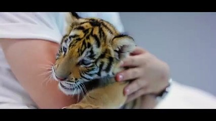 خاص - ضربة سعد لمجرّد الجديدة تحصد الملايين وهذه خطّته القريبة